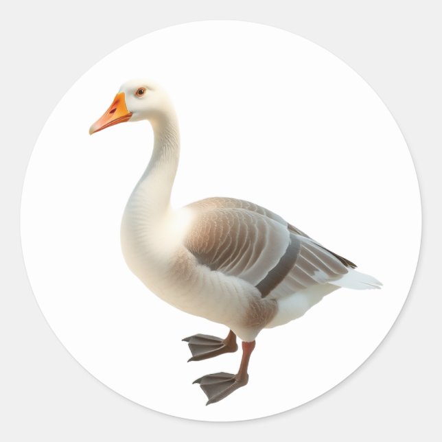 Gänsehaufkleber Runder Aufkleber (Vorderseite)