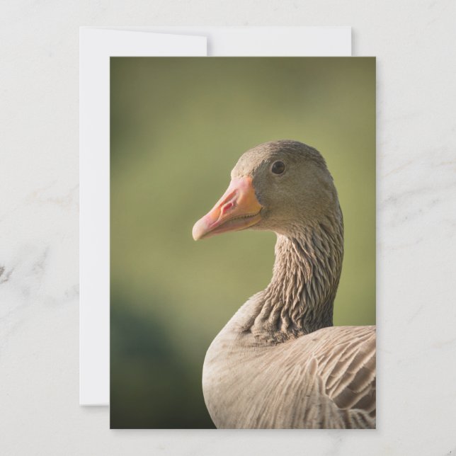 Gänsehaut-Fotokarte Save The Date (Vorderseite)