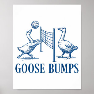 Gänsehaut-Volleyball Poster