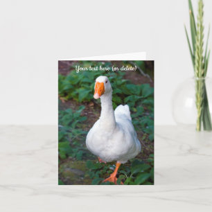 Gänsekarte Dankeskarte