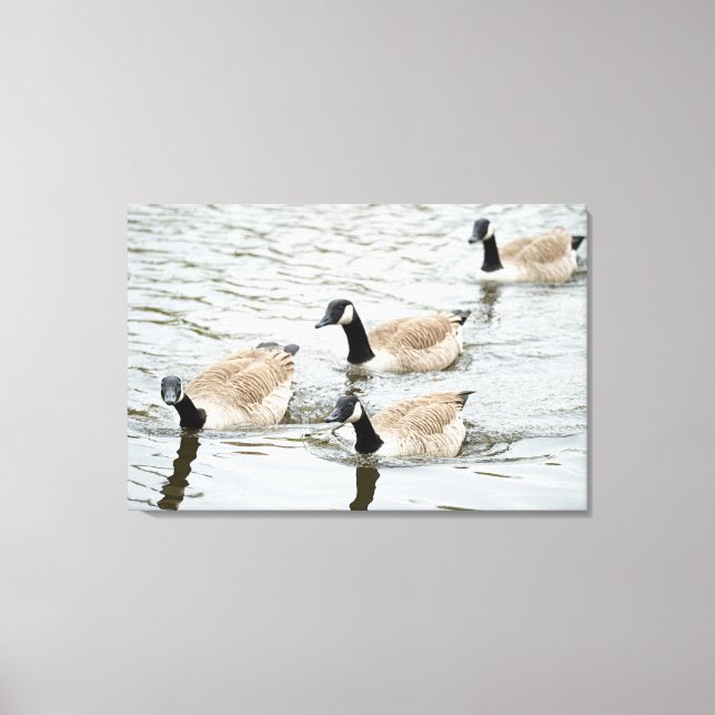 Gänseschwimmen Leinwanddruck (Vorderseite)