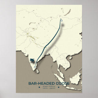 Gänsewanderungsplan mit Bar - Minimalistisch Poster
