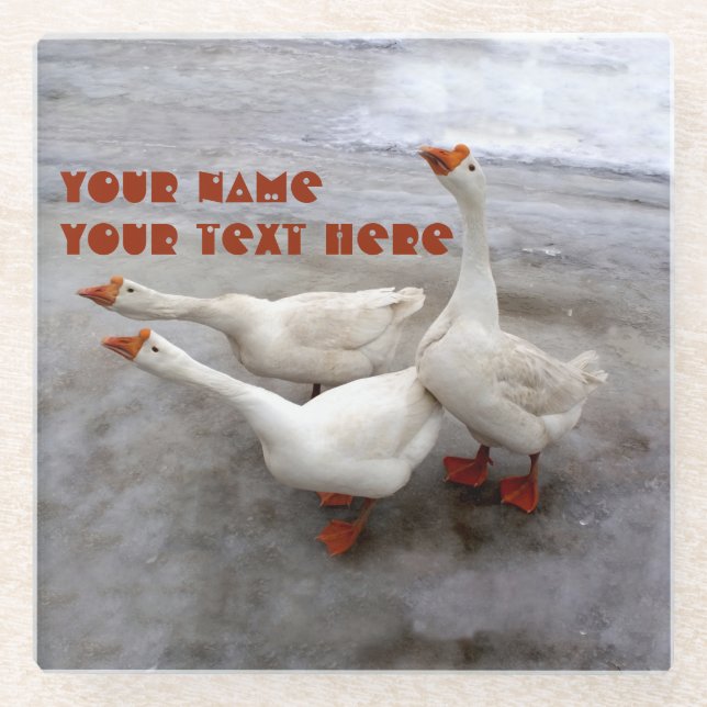 Gänseweiß Glasuntersetzer (Vorderseite)