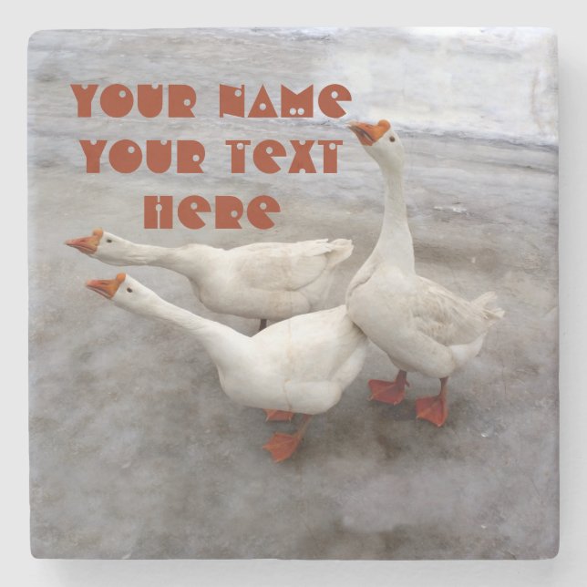 Gänseweiß Steinuntersetzer (Vorderseite)