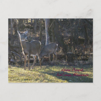 Gänsinsel, La Crosse, Wisconsin Postkarte