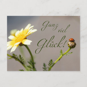 Ganz viel Glück - mit Marienkäfer! Postkarte