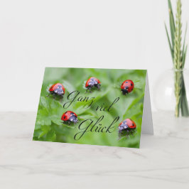 Ganz viel Glück - mit Marienkäfern! Karte