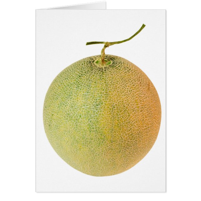 ganze Muskelmelone (Vorne)