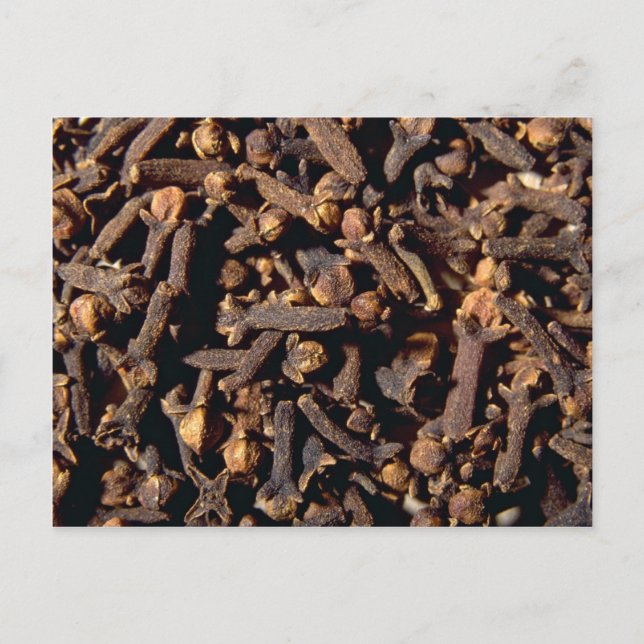 ganze Nelken Postkarte (Vorderseite)