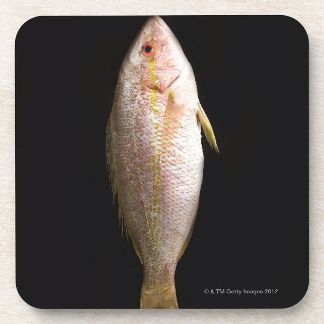 Ganzer Wolfsbarsch Untersetzer (Vorderseite)