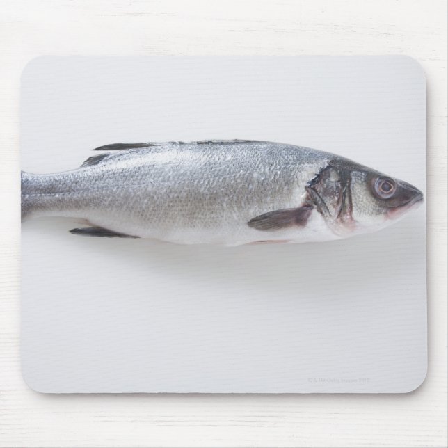 Ganzer Zwergfisch Mousepad (Vorne)