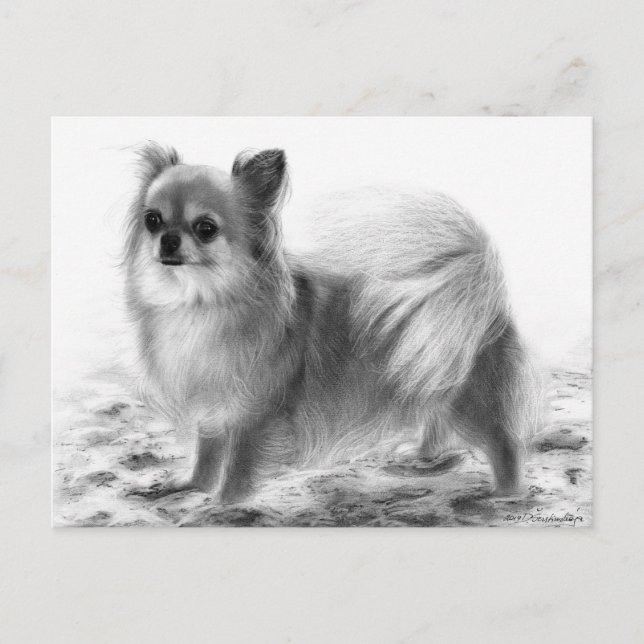 Ganzes Chihuahua Handgemälde Postkarte (Vorderseite)