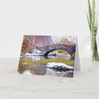 Gapstow Brücke - Central Park, New York City