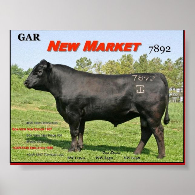 GAR NEW MARKET POSTER (Vorne)
