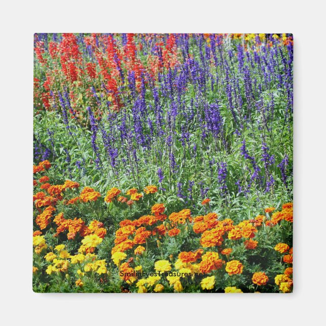 Garden Beauty Flower Fotomagnet Magnet (Vorne)