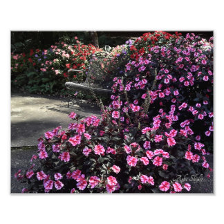 Garden Bench Fotodruck