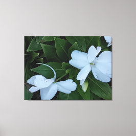 Garden Blume Canvas Print Leinwanddruck