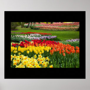 Garden Blume Poster
