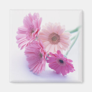 Garden Bounty 8 Magnet