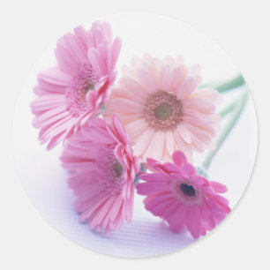 Garden Bounty 8 Runder Aufkleber