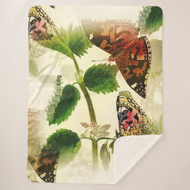 Garden Butterflies Sherpadecke (Vorderseite)