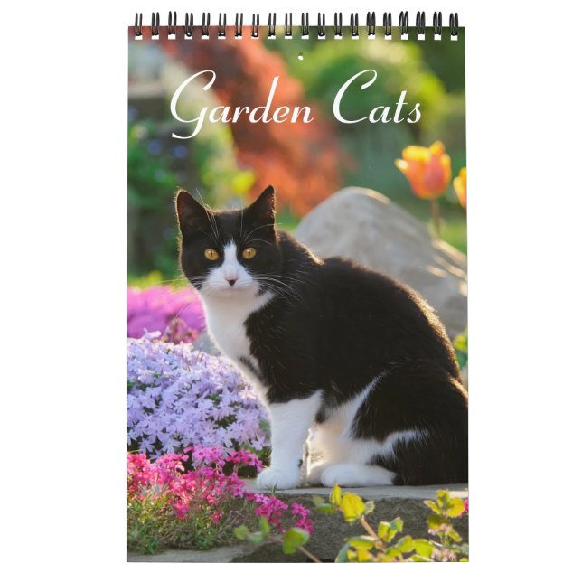 Garden Cats - klein Kalender (Titelbild)