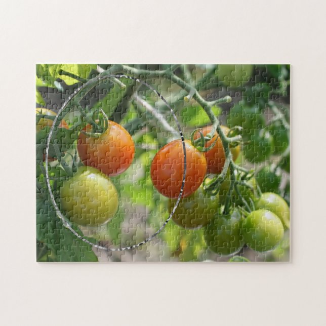 Garden Cherry Tomaten Fügen Sie Ihr Foto Puzzle (Horizontal)