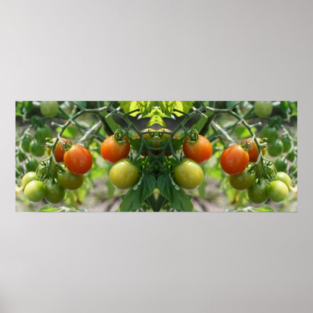 Garden Cherry Tomates Mirror Abstrakt Poster (Vorne)