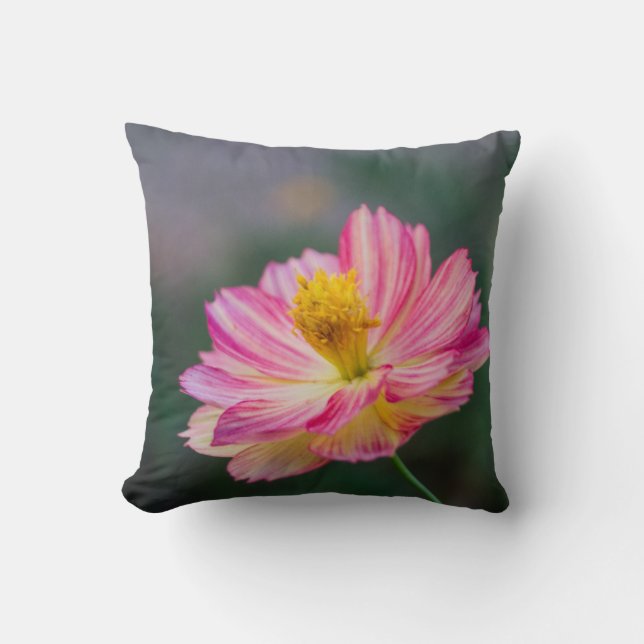 Garden Cosmos Blume Kissen (Vorderseite)