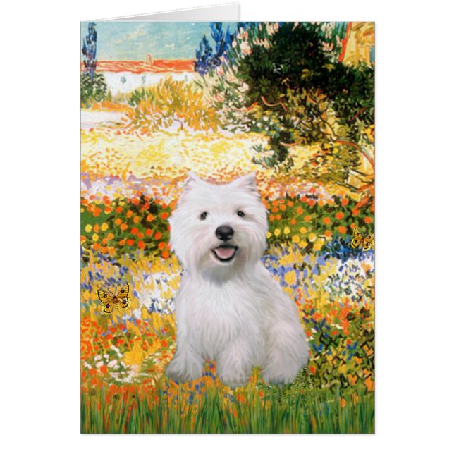 Garden Fiorito - Westie 2 (Vorne)