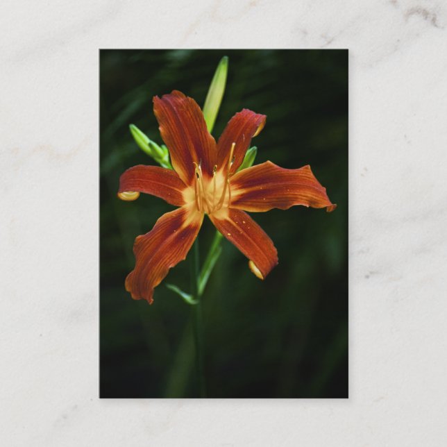 Garden Flame Mini Print Visitenkarte (Vorderseite)