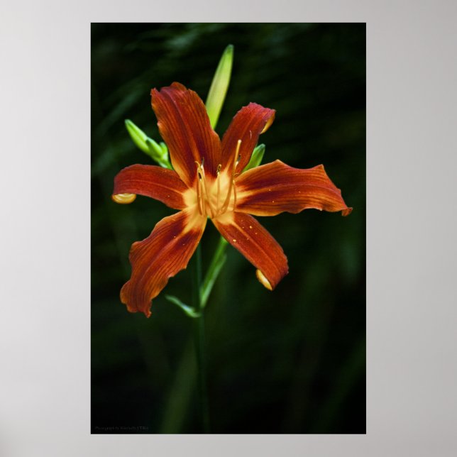 Garden Flame Print Poster (Vorne)