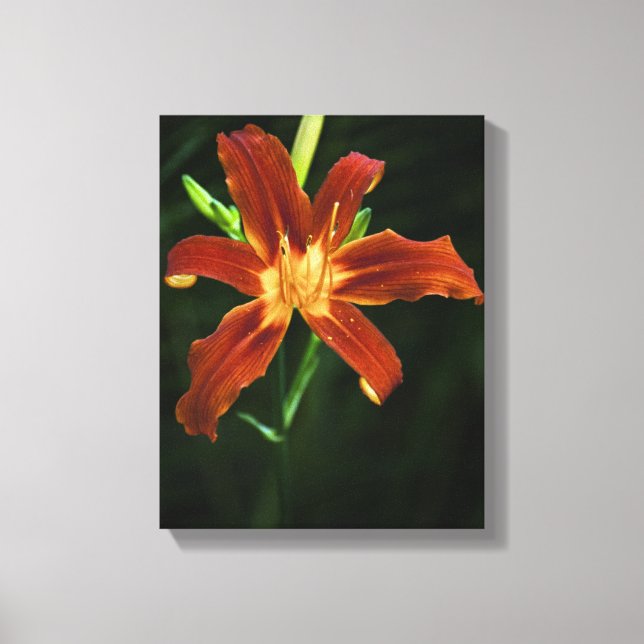 Garden Flame Wrapped Canvas Leinwanddruck (Vorderseite)
