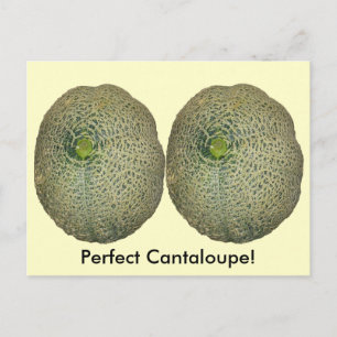 Garden Fresh Cantaloupe Postkarte