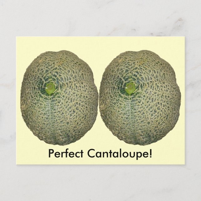 Garden Fresh Cantaloupe Postkarte (Vorderseite)