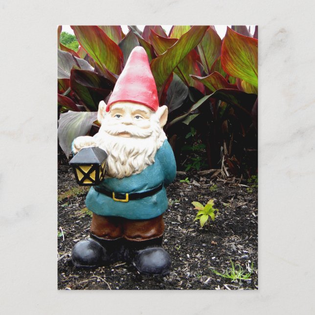 Garden Gnome Postkarte (Vorderseite)
