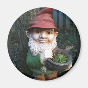 Garden Gnomes Magnet
