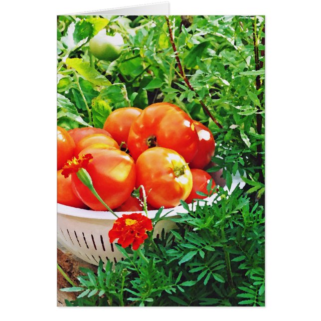 Garden Goodies (Vorne)