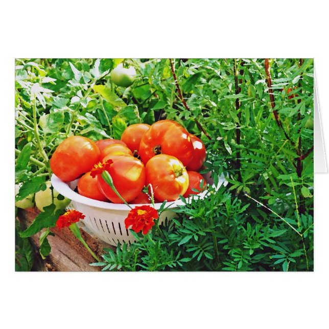 Garden Goodies (Vorderseite (Horizontal))