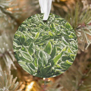 Garden Green Leaf Niedlich Vatertag Pflanze Vater  Ornament