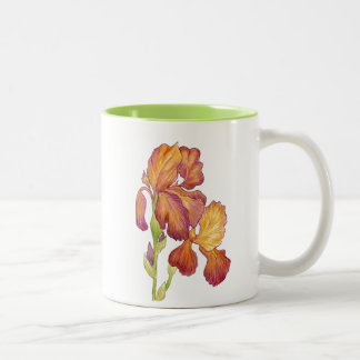 Garden Iris Tasse