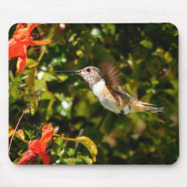 Garden Jewel: Hummingbird in Bloom Mousepad