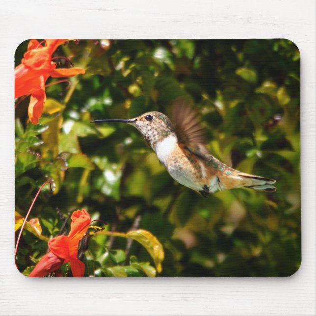 Garden Jewel: Hummingbird in Bloom Mousepad (Vorne)