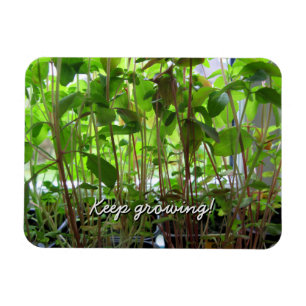 Garden Lover Behaltend Pflanze wachsen Magnet