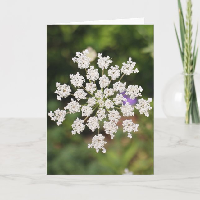 Garden O Weedin Talking Canyons, New Mexico Karte (Vorderseite)