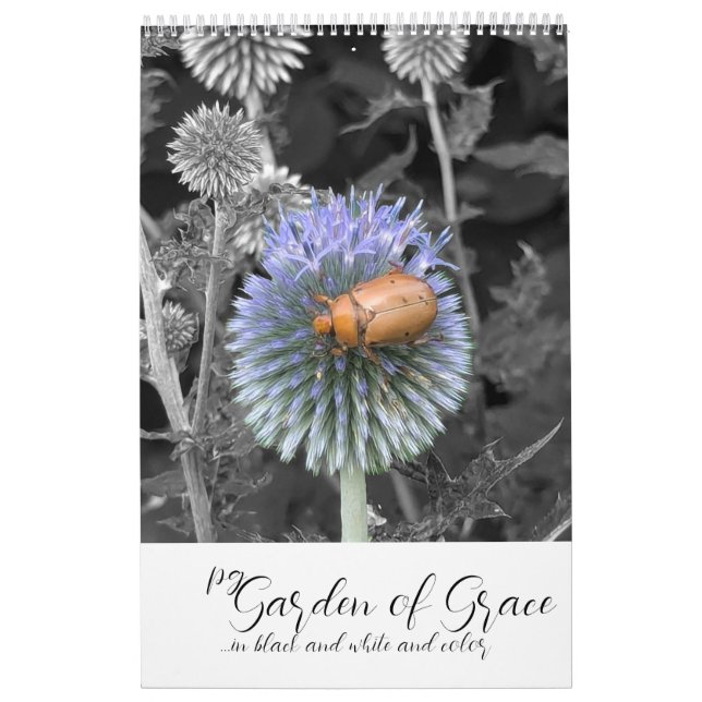 Garden of Grace: In Black & White & Color Calendar Kalender (Titelbild)