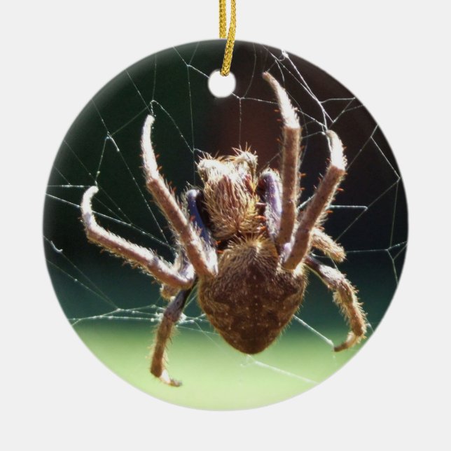 Garden Orb Weaver Spider Keramik Ornament (Vorne)