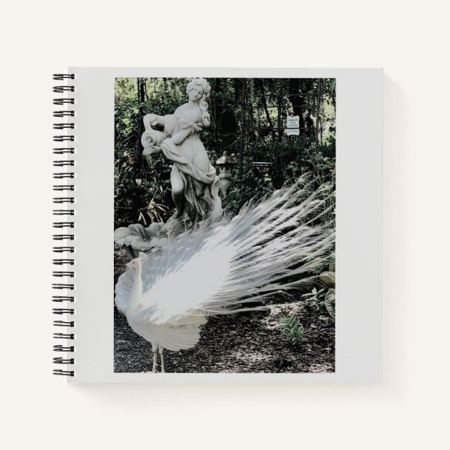 Garden Peacock Spiral Notebook Notizbuch (Vorderseite)