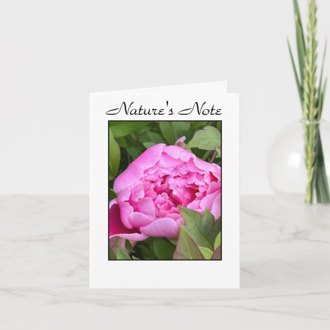 GARDEN PEONY PHOTO FLORAL NOTE CARD (Vorderseite)
