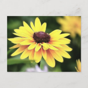 Garden Perfection - Black Mit Augen Susan Postkarte